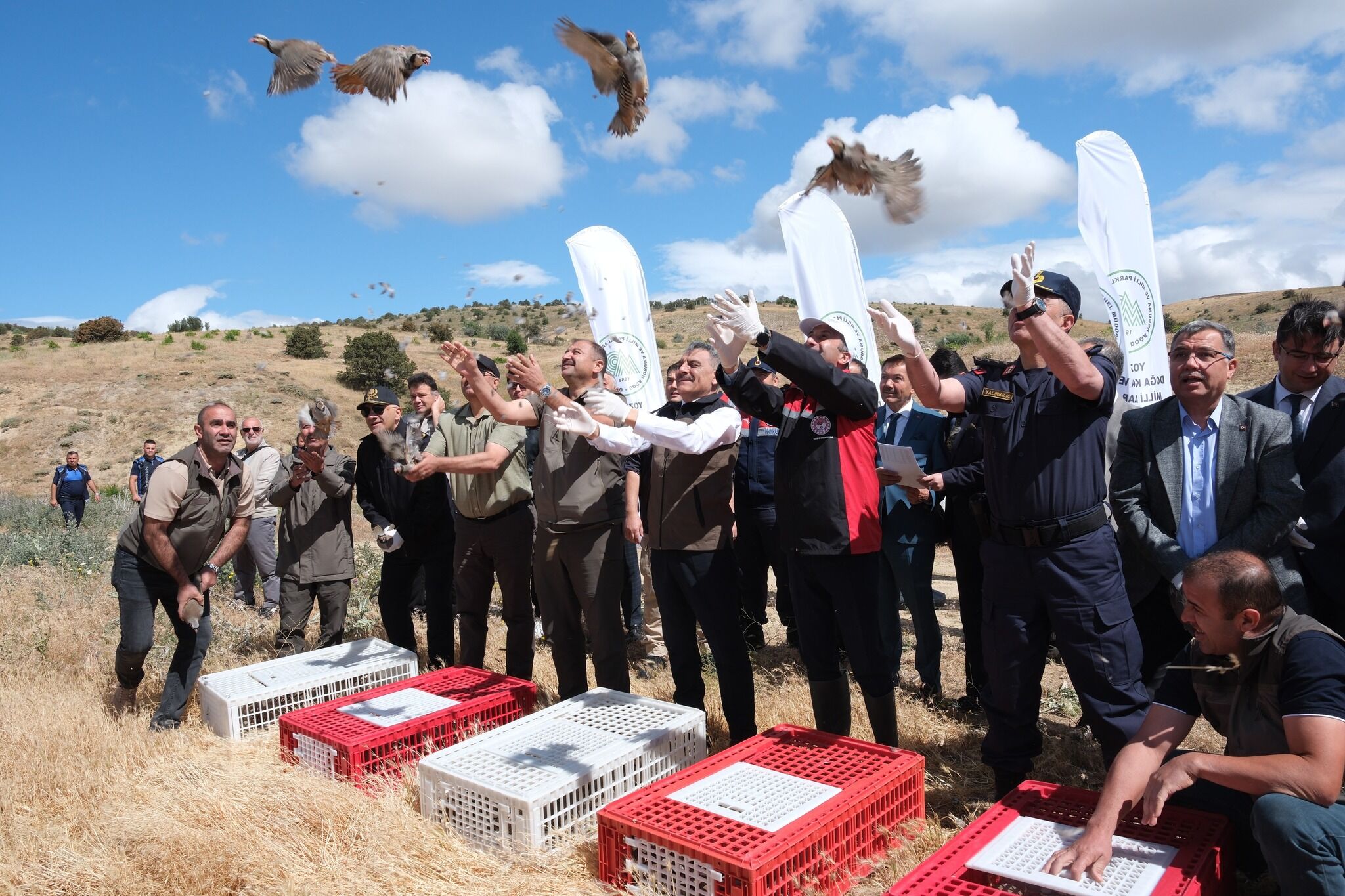 Keklikler Doğaya Bırakıldı (2)