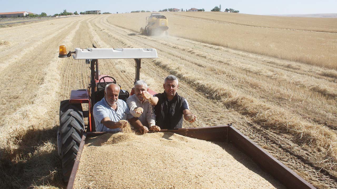 Kıraç Topraklar (4)