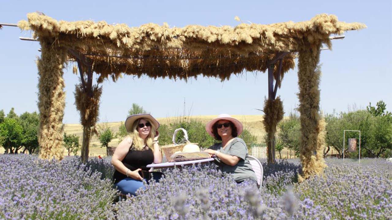 Lavanta Murat Yozgat (3)