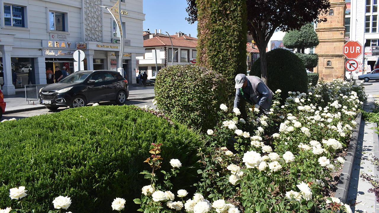 Orta Refüj 3
