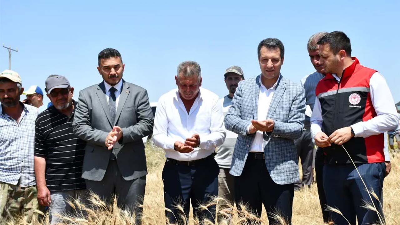 Sorgun Kaymakamı Buğday (3)