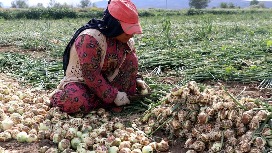 Thumbs B C 5A010010C4041Aa32E8E0F3281805985