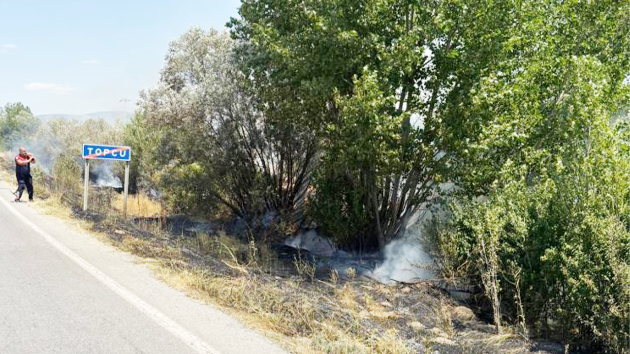 Topçu Anız Yangın (2)