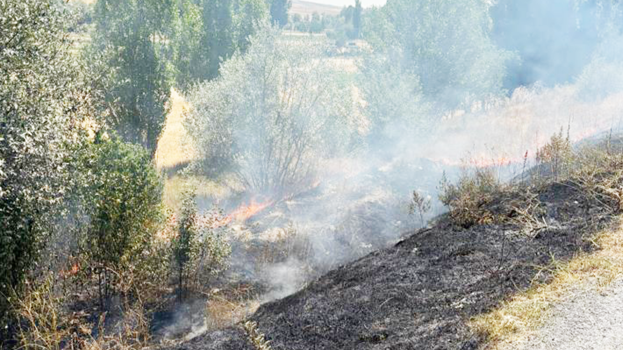 Topçu Anız Yangın (3)