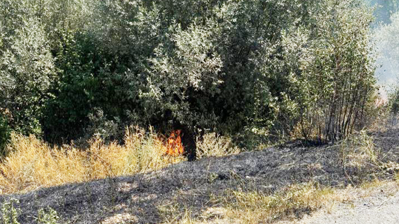 Topçu Anız Yangın (4)