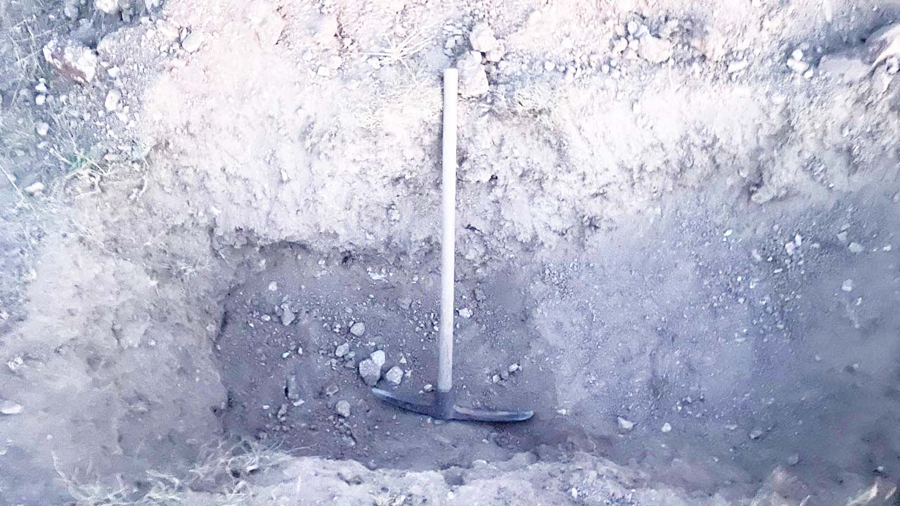 Yenipazar Kaçak Kazı (2)