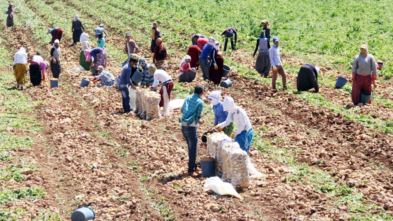 Yerel Kalkınmaaaa (1)