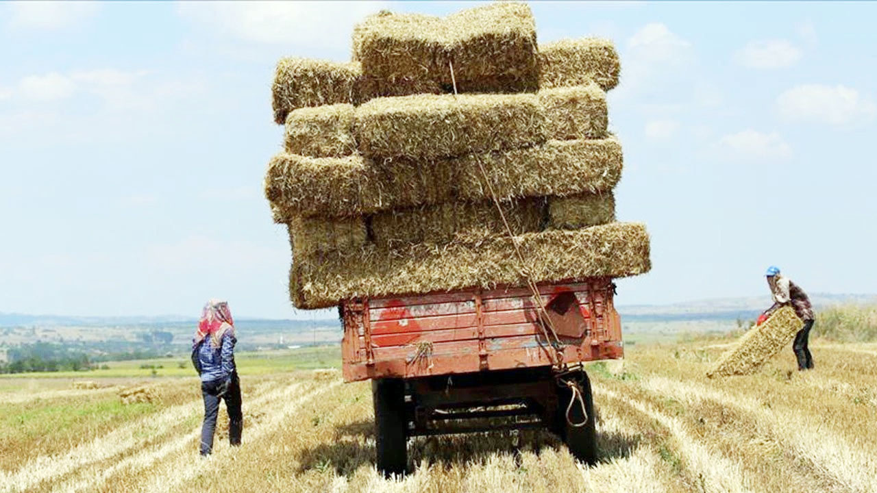 Yozgat Altimn Saman