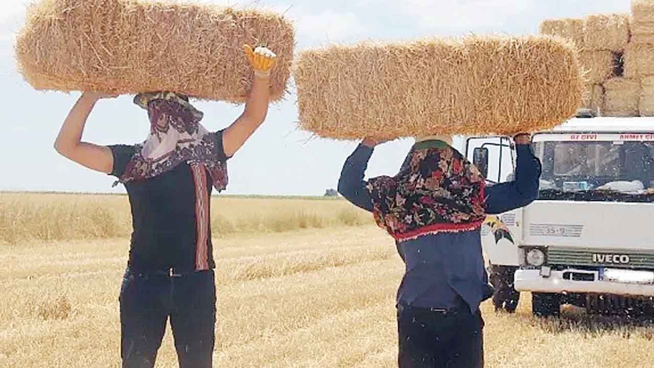 Yozgat Altimn Saman1111