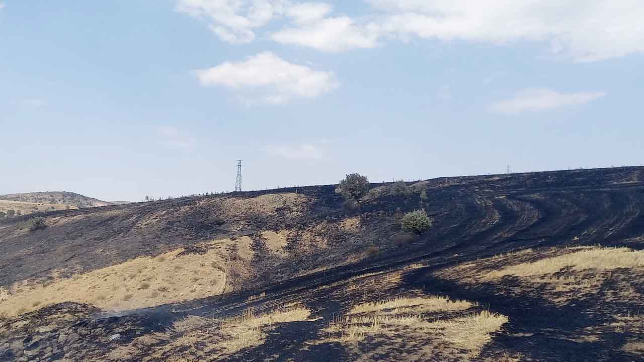 Yozgat C E D A S Tarla Yangini 1