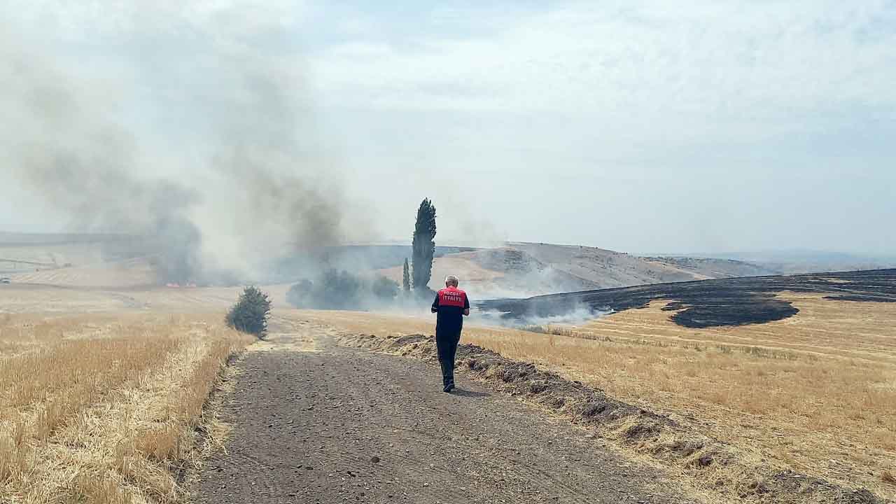 Yozgat C E D A S Tarla Yangini 2