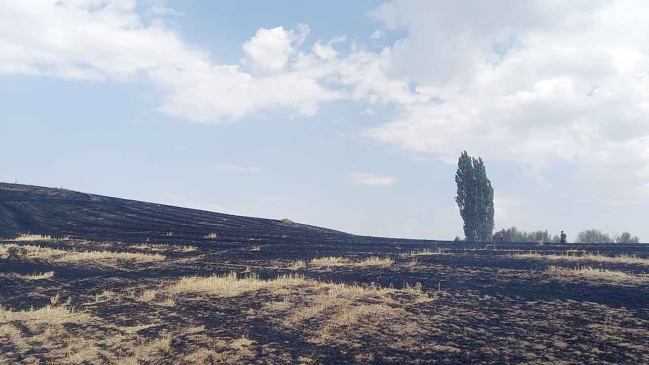 Yozgat C E D A S Tarla Yangini