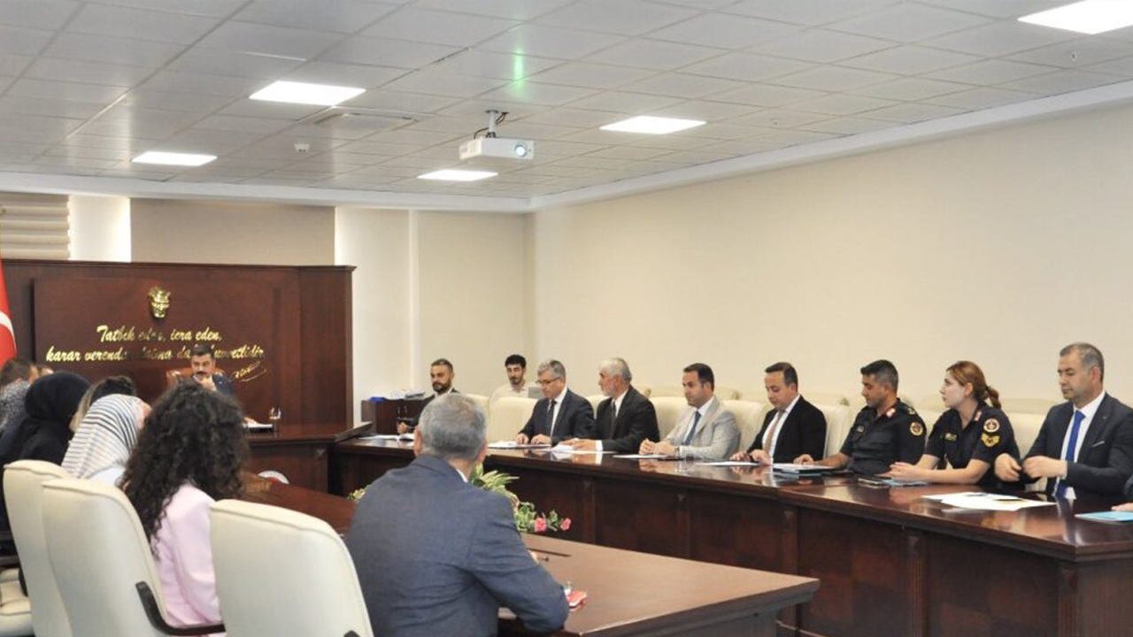 A I L E V E S O S Y A L T O P L A N T I2 1024X679