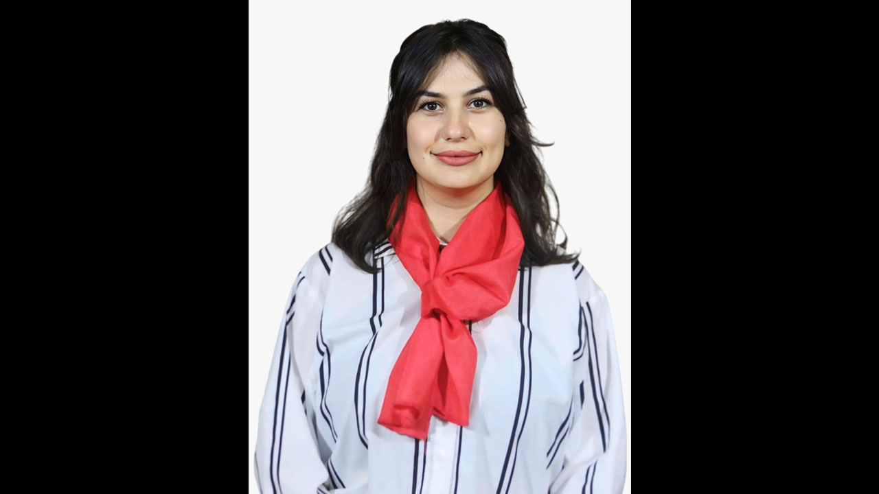 Anadolu Cinarlari Partisi