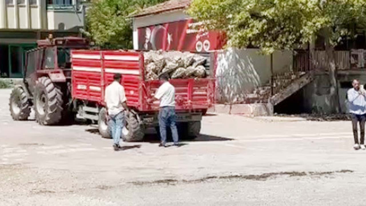 Chp Patates Aydıncık (2)