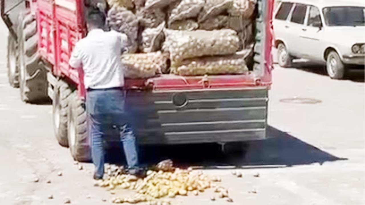 Chp Patates Aydıncık (3)