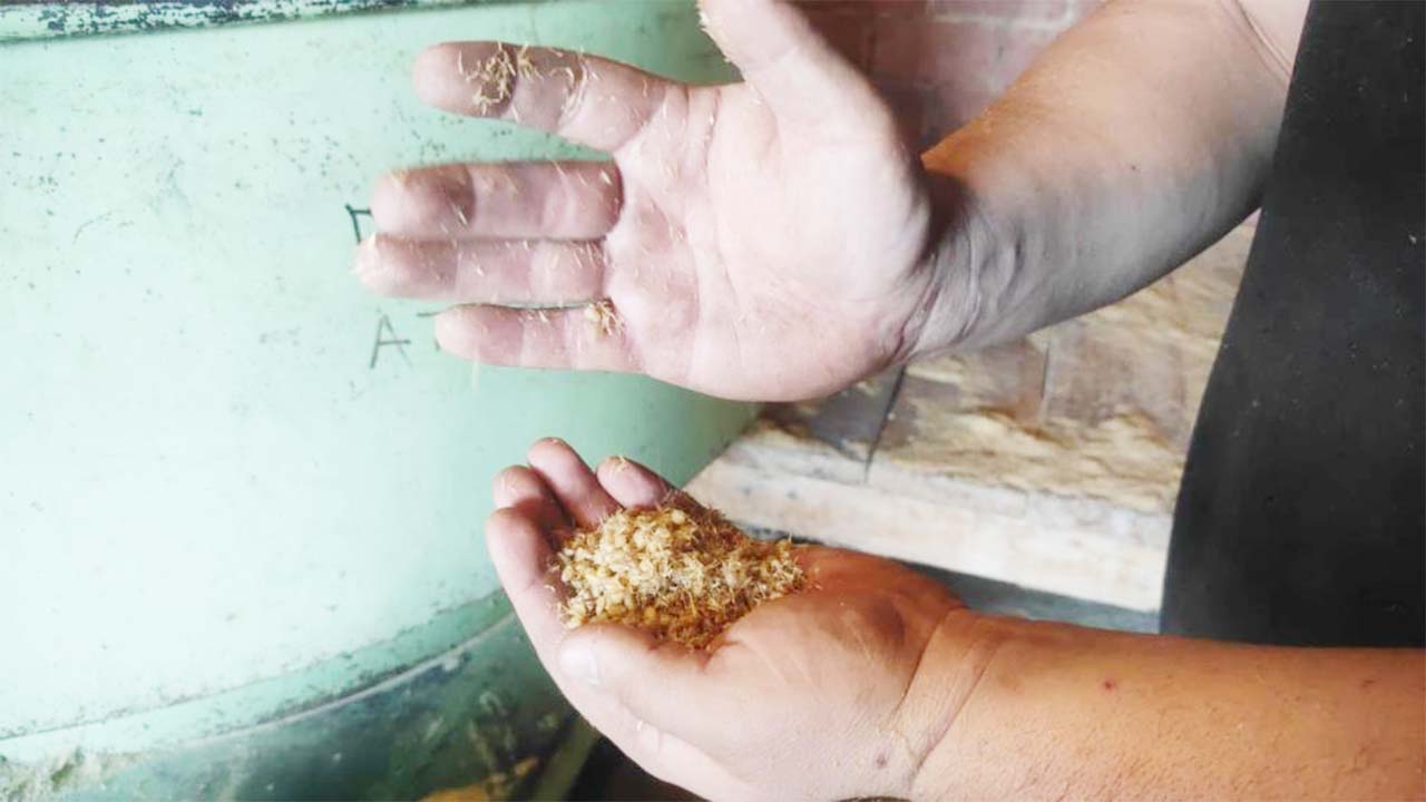 Iha Bulgur Nesil (5)