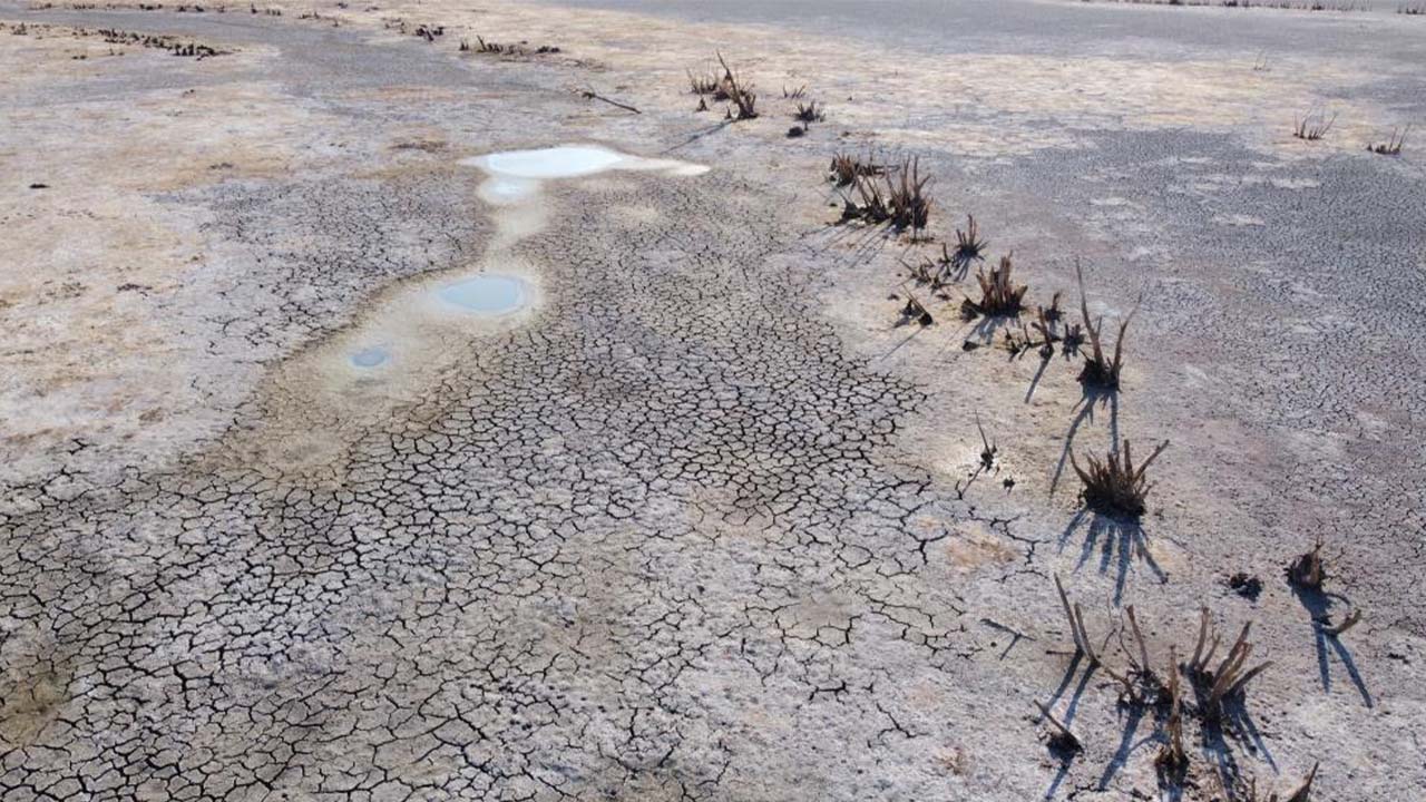 Iha Gelingüllü Barajı (1)