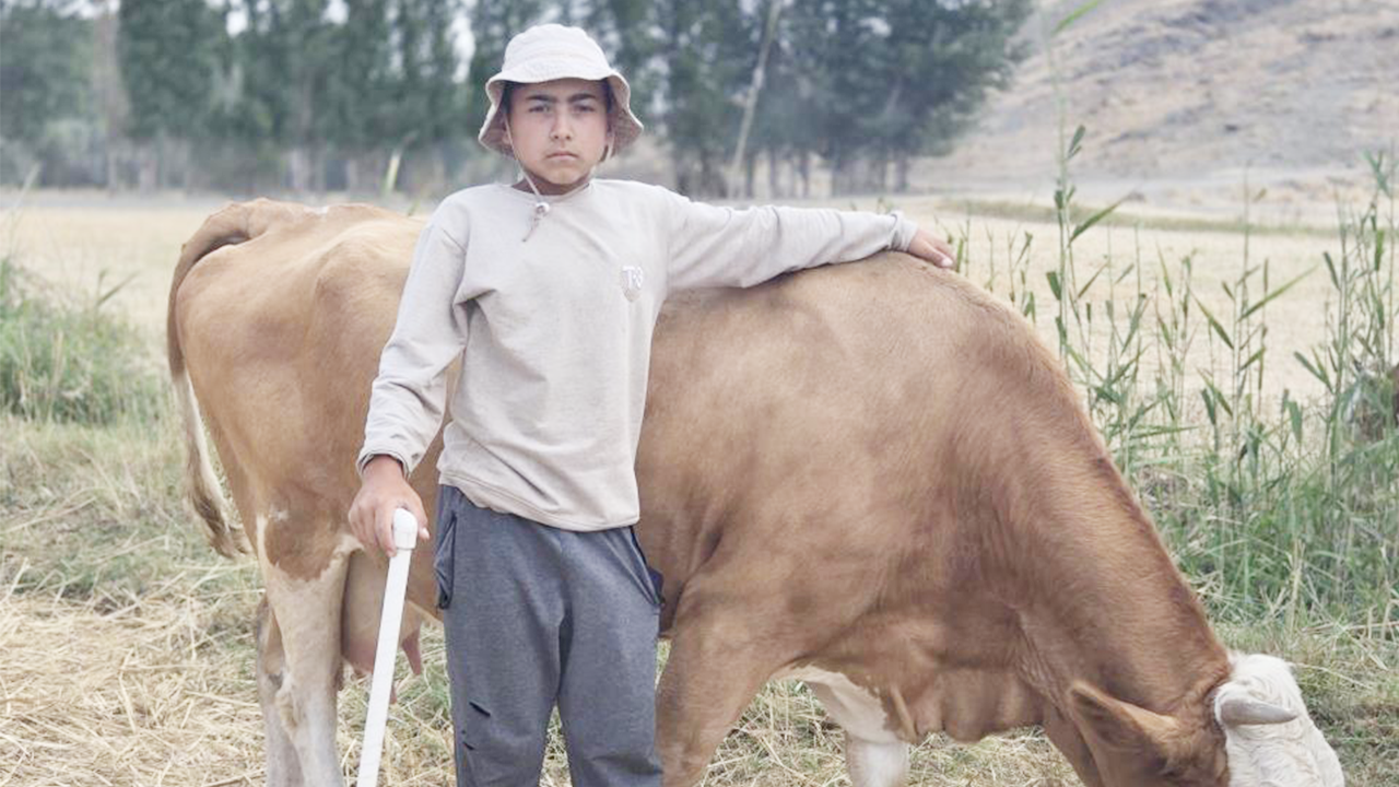 Iha Hayvan Isimler (2)