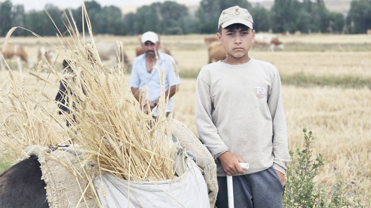 Iha Hayvan Isimler (3)