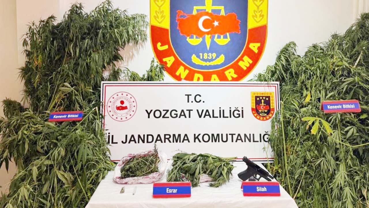 Jandarma Iha Kenevir