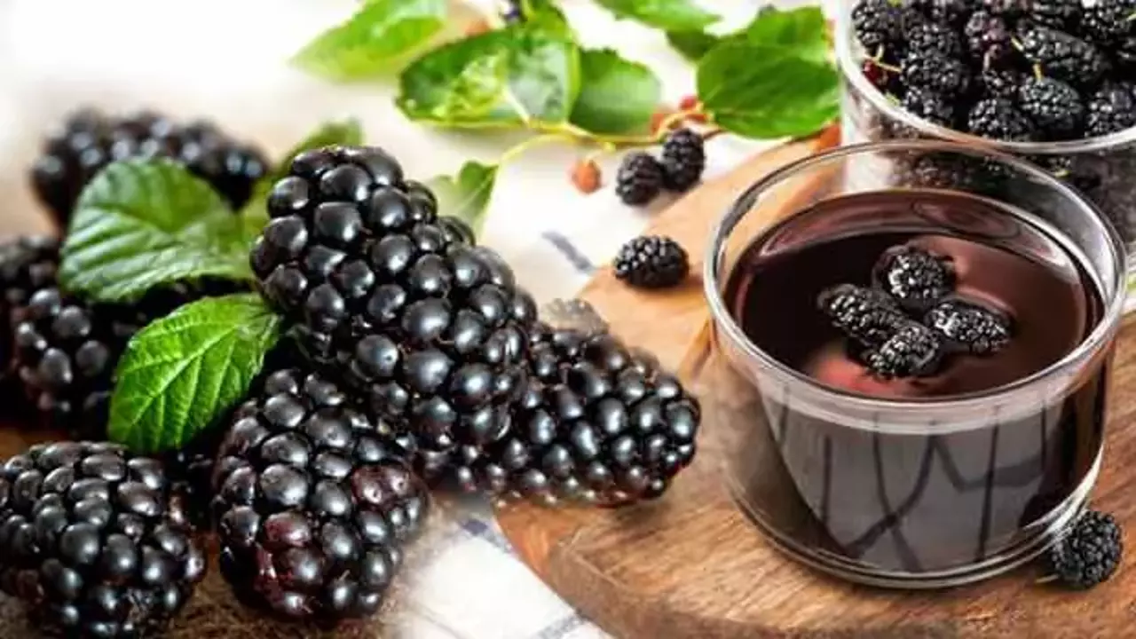 Karadut Özü Ne İşe Yarar-1