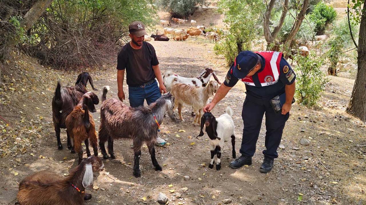 Karanlıkdere Denetim (1)