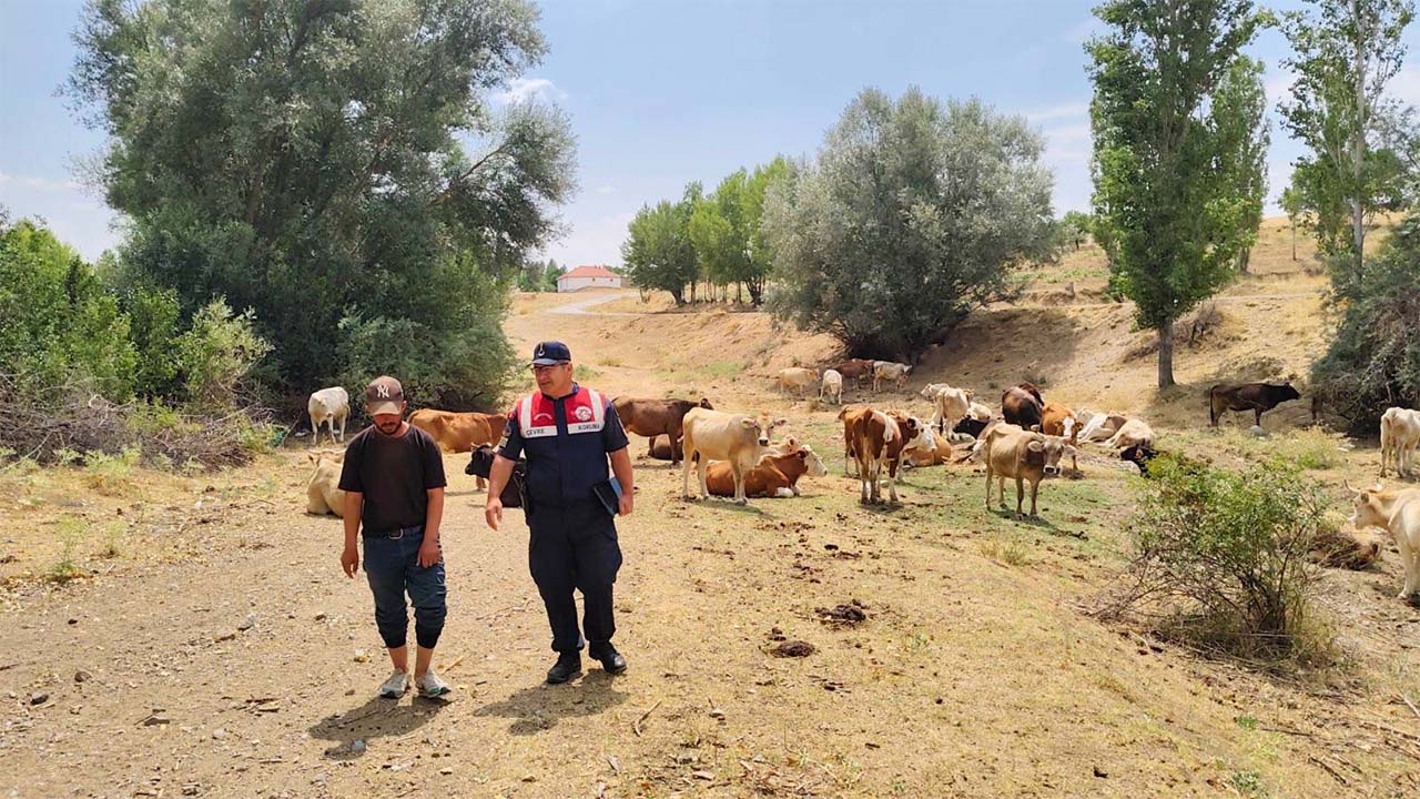 Karanlıkdere Denetim (3)