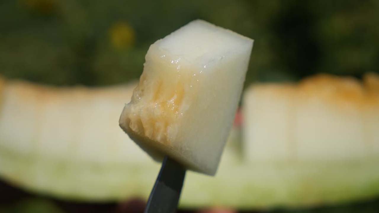 Kırıkkale Kavun (1)