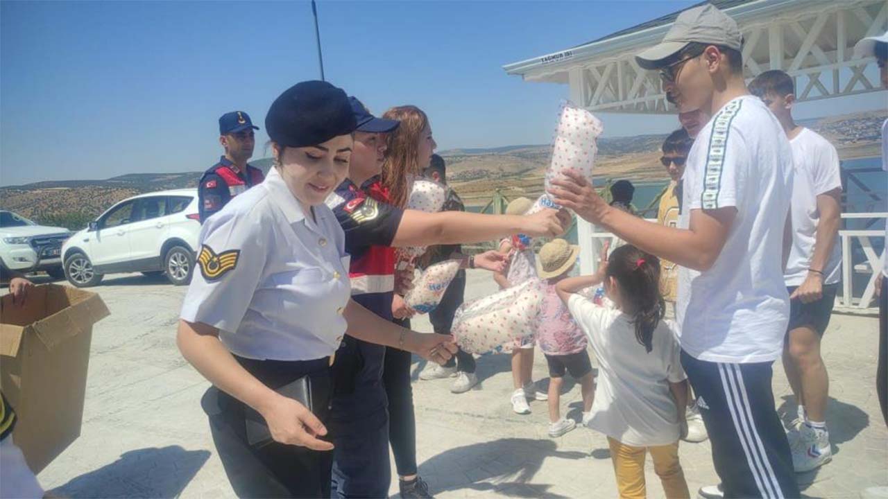 Lavanta Jandarma Uçurtma (1)