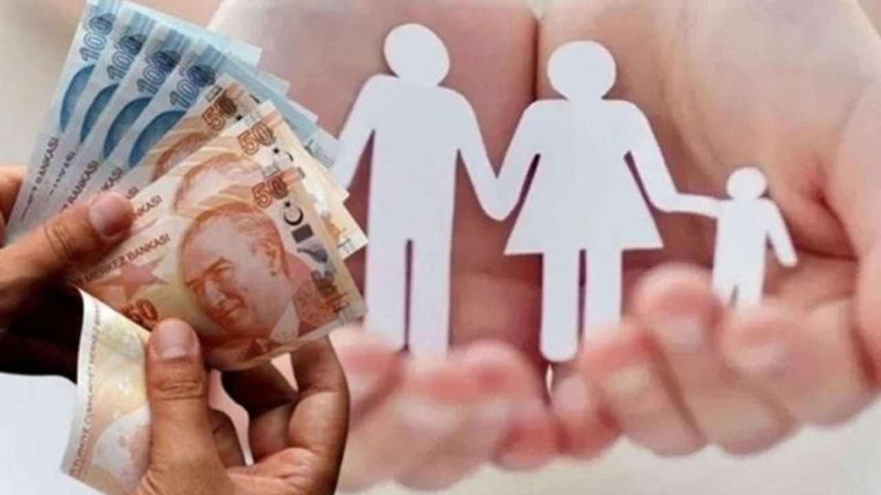 Sed Destek Ödemeleri Hesaplara Yatırıldı