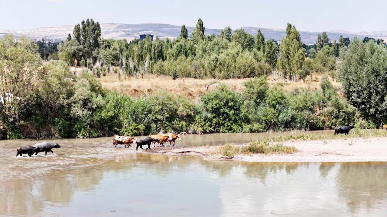 Sivas Kızılırmak (1)