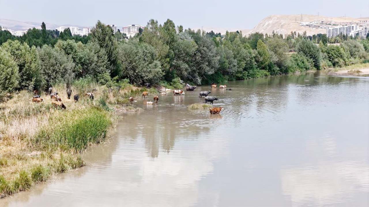 Sivas Kızılırmak (5)