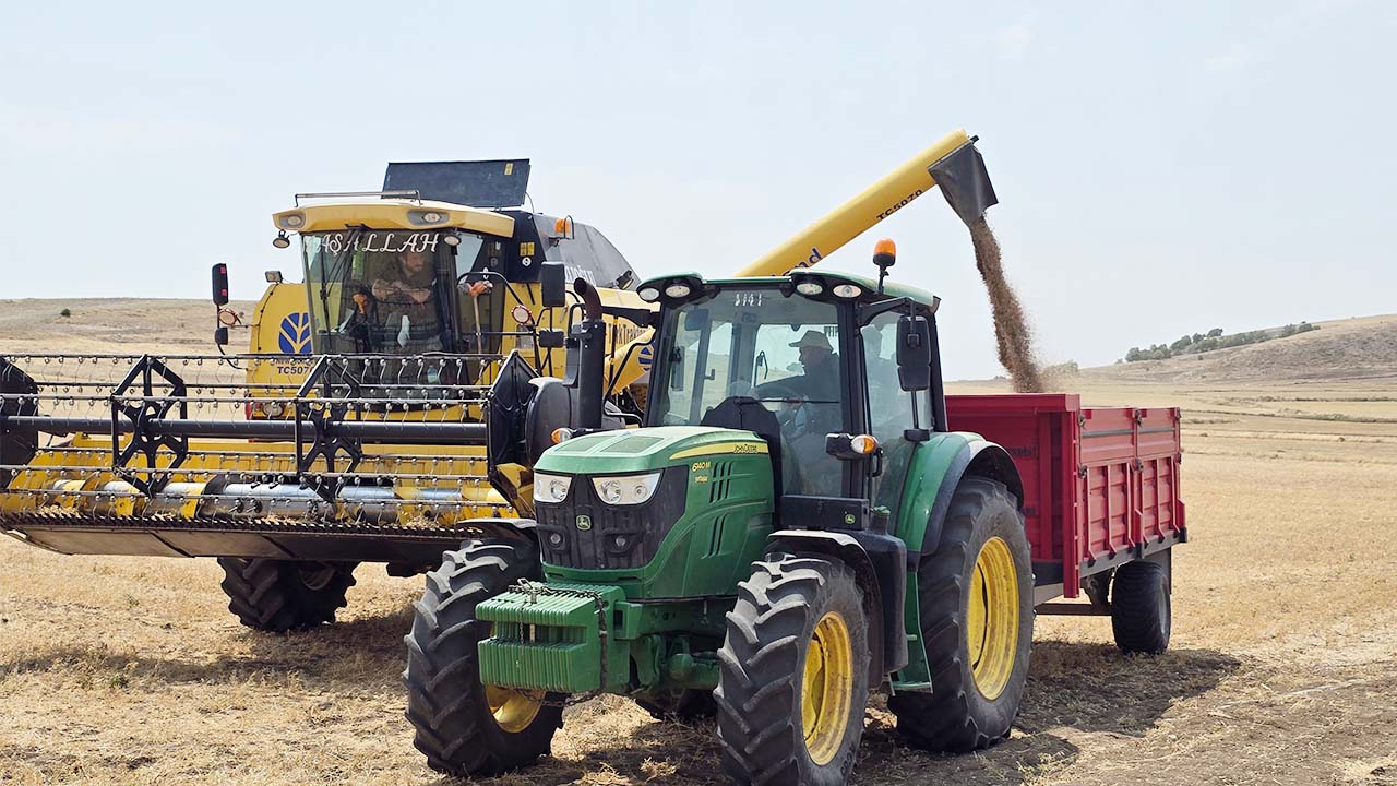 Sorgun Nohut Hasadı (2)