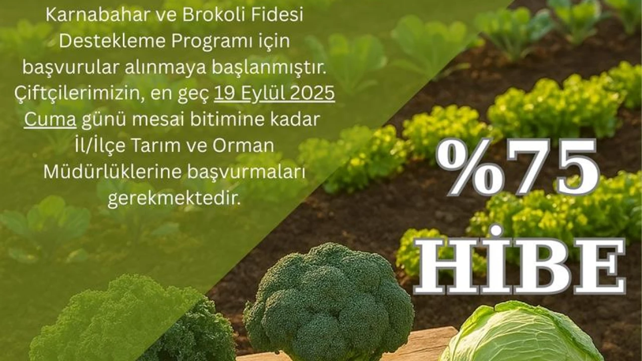 Üreticilere Hibe Desteği