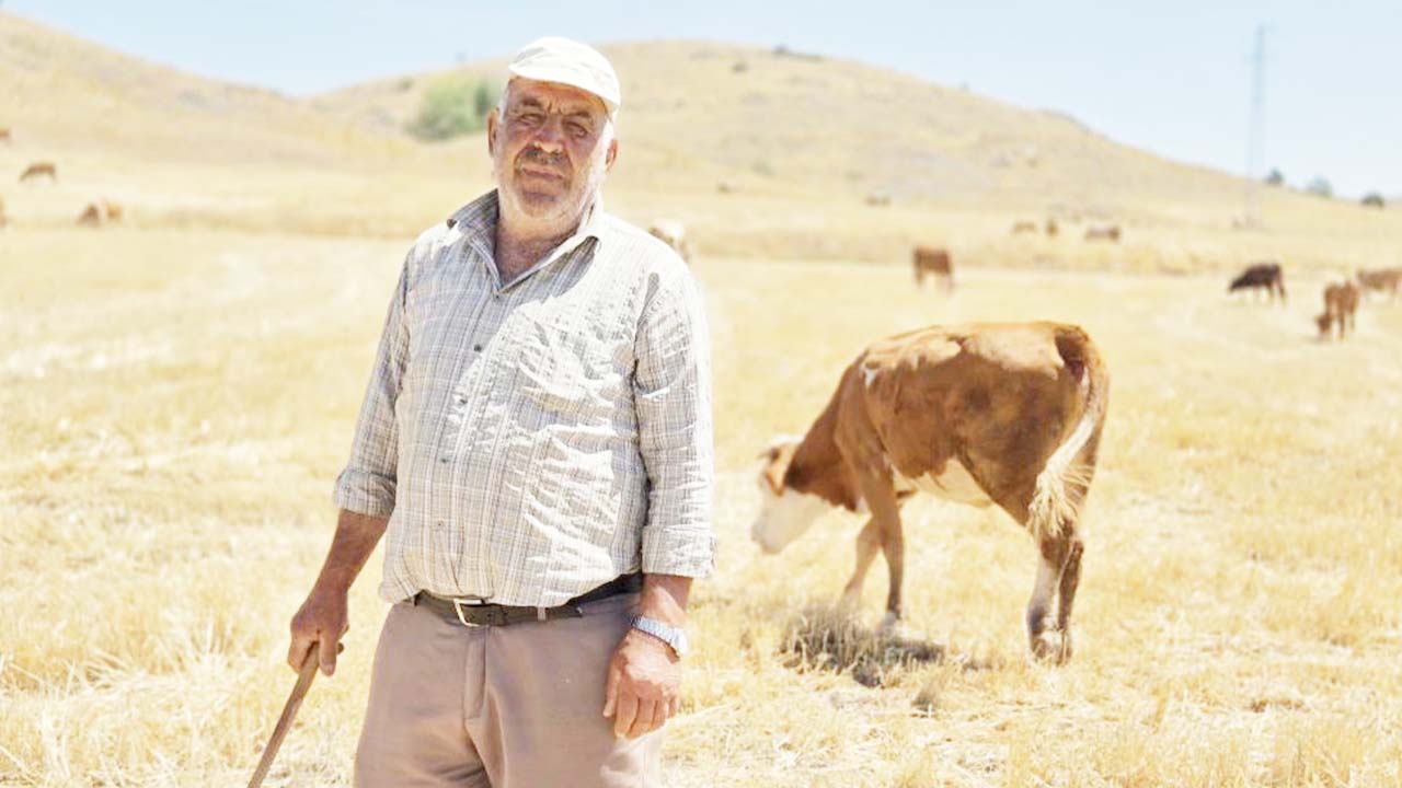 Yozgat Çoban Sağlık