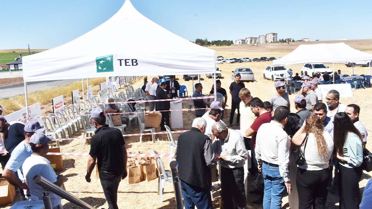 Boğazlıyan Tarla Günleri (5)