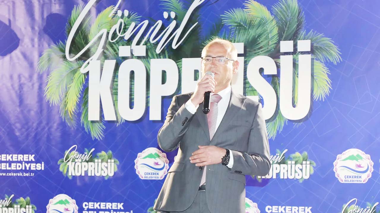 Çekerek Gönül Köprüsü (1)