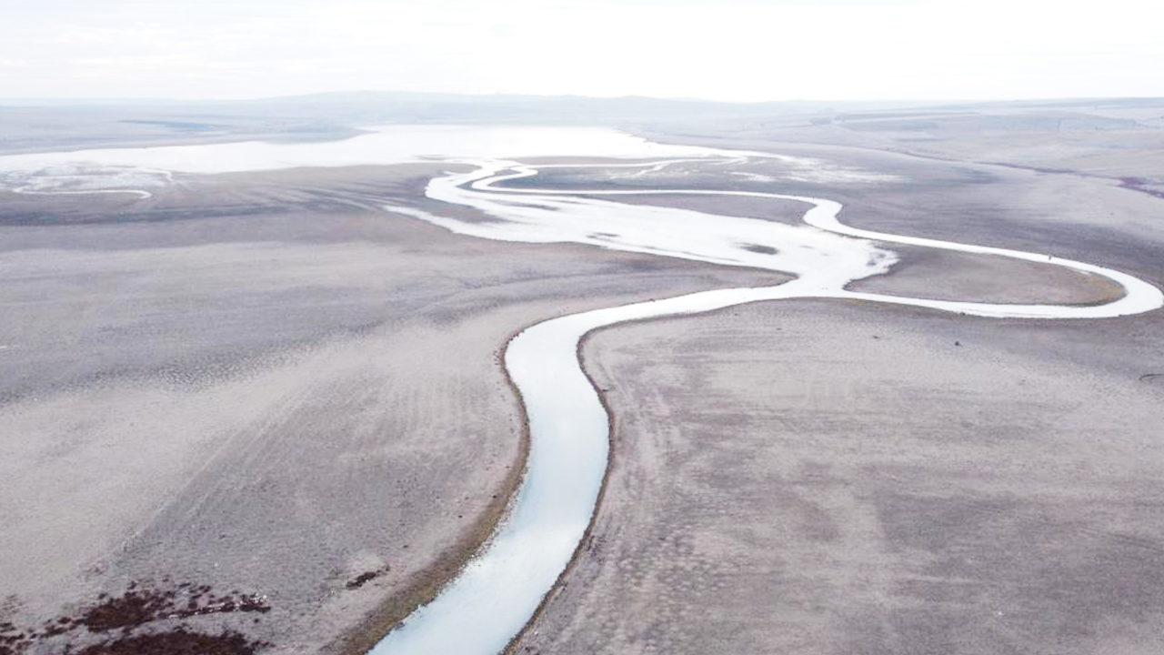 Gelingüllü Dron (2)