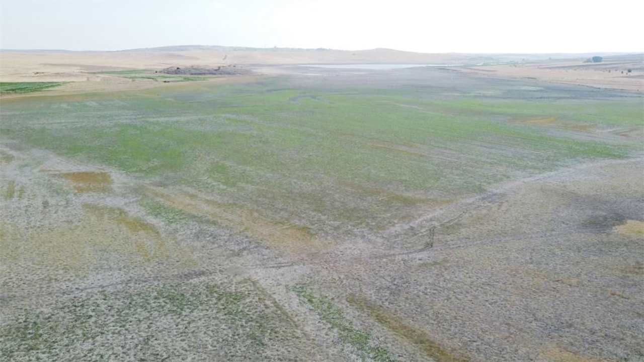 Gelingüllü Dron (4)