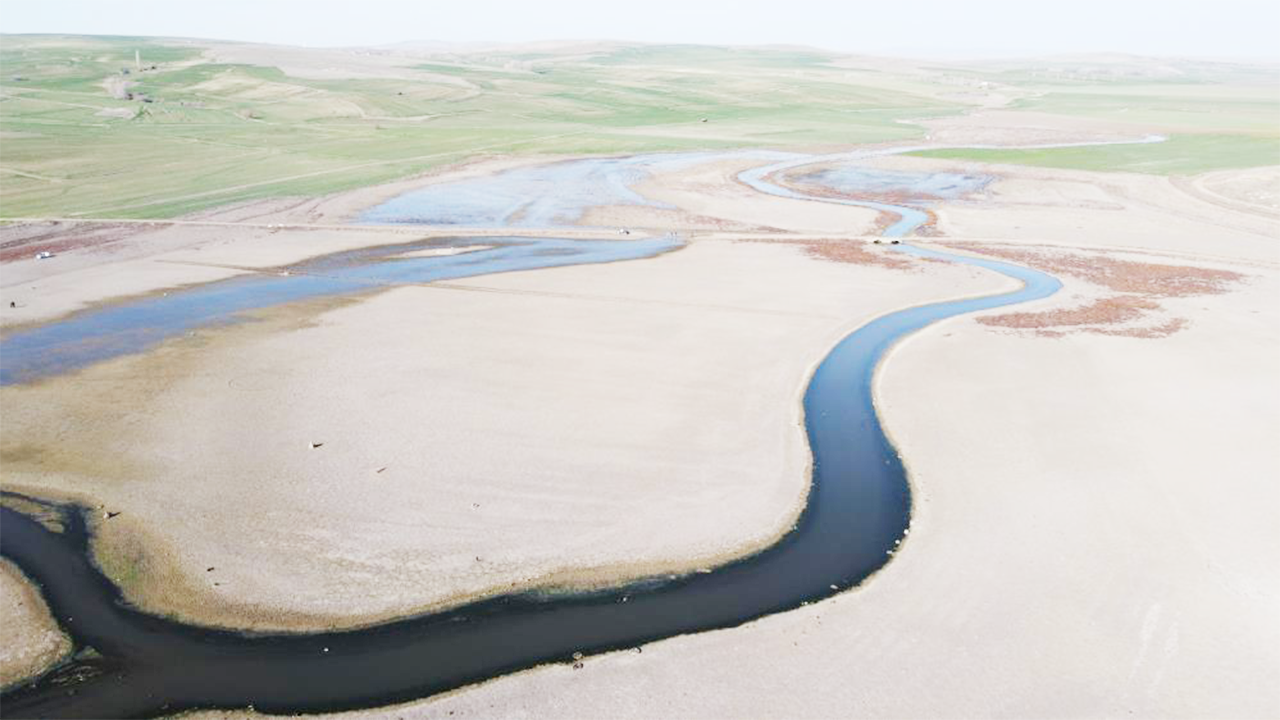 Gelingüllü Dron (6)