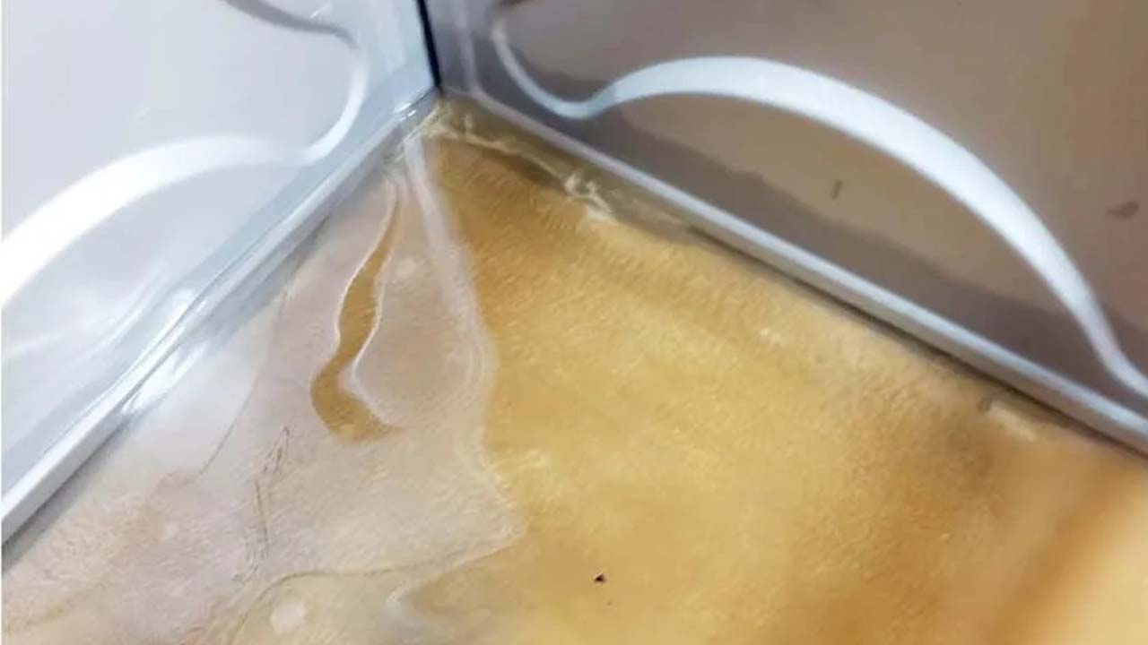 Haydar Demirer Depo Su (2)