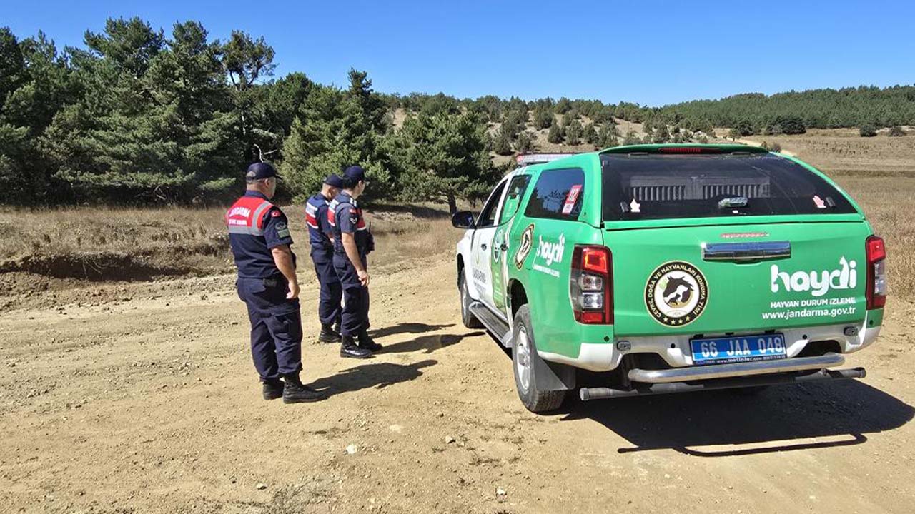 Iha Akdağ Orman Temizlik (1)