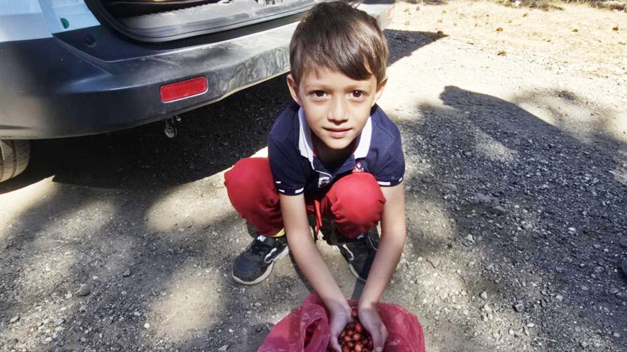 Iha Akdağ Orman Temizlik (4)