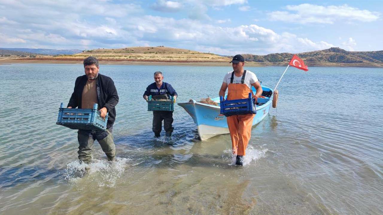 Iha Balıkçılık (2)