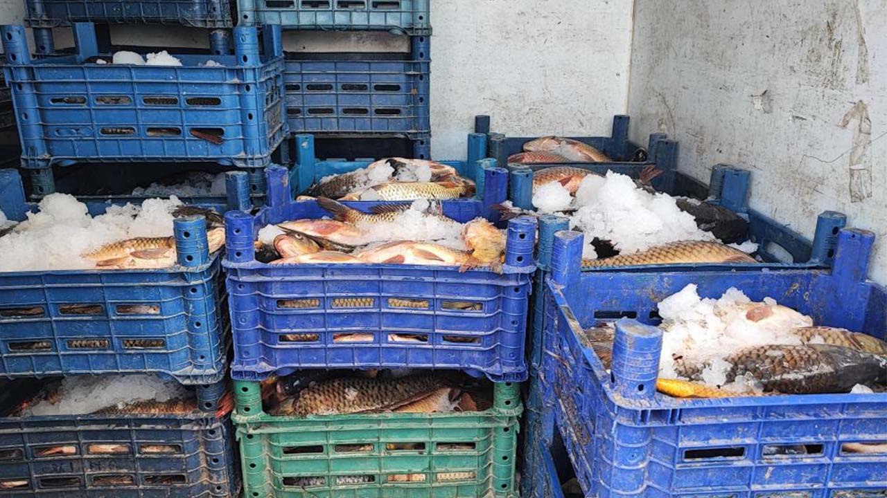 Iha Balıkçılık (5)