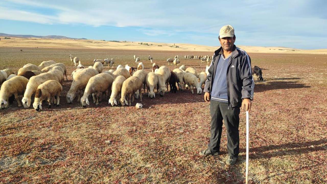 Iha Kuraklık Baraj (1)