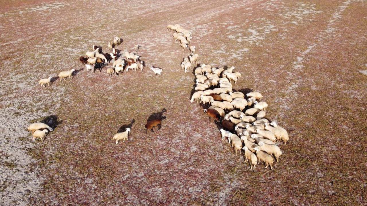 Iha Kuraklık Baraj (2)