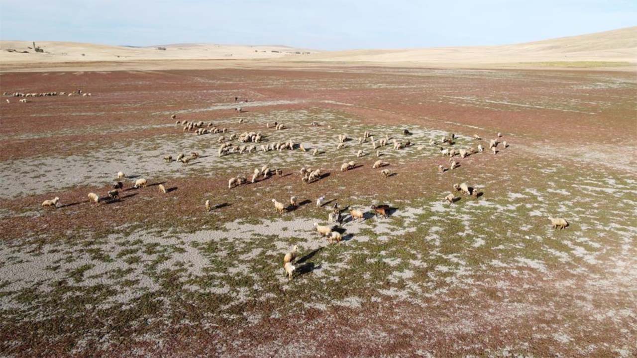 Iha Kuraklık Baraj (4)