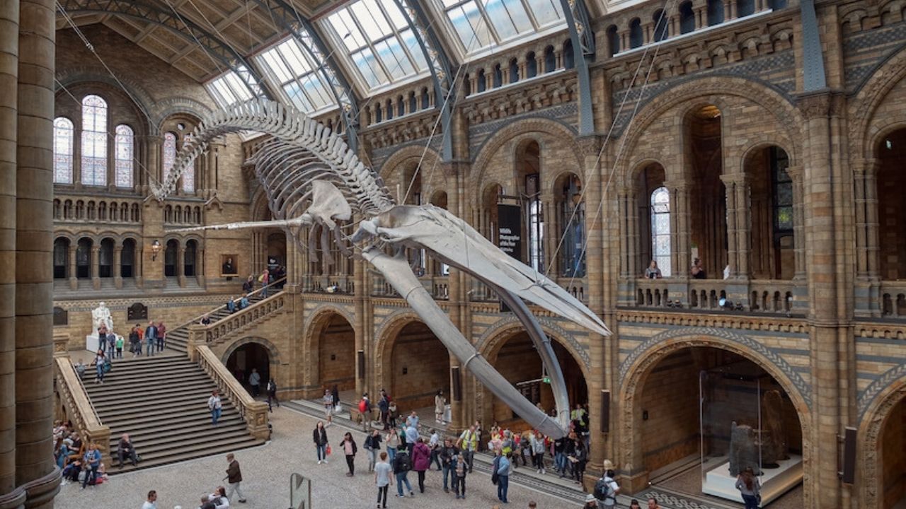 İngiltere’de Müzeler Ücretsiz Mi-1